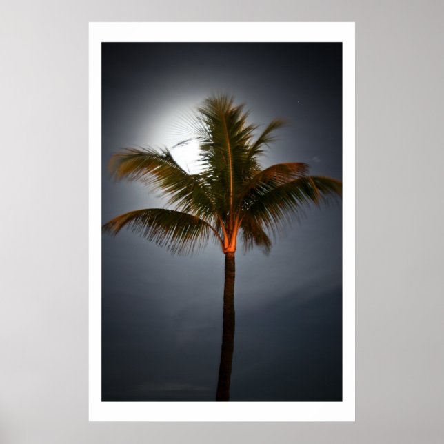 Póster Moonrise on Palm (Frente)