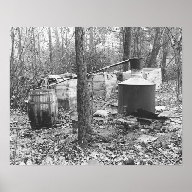 Póster Moonshine Still in the Woods, 1931. Foto de cosech (Frente)