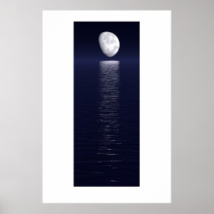 Póster Moontrail