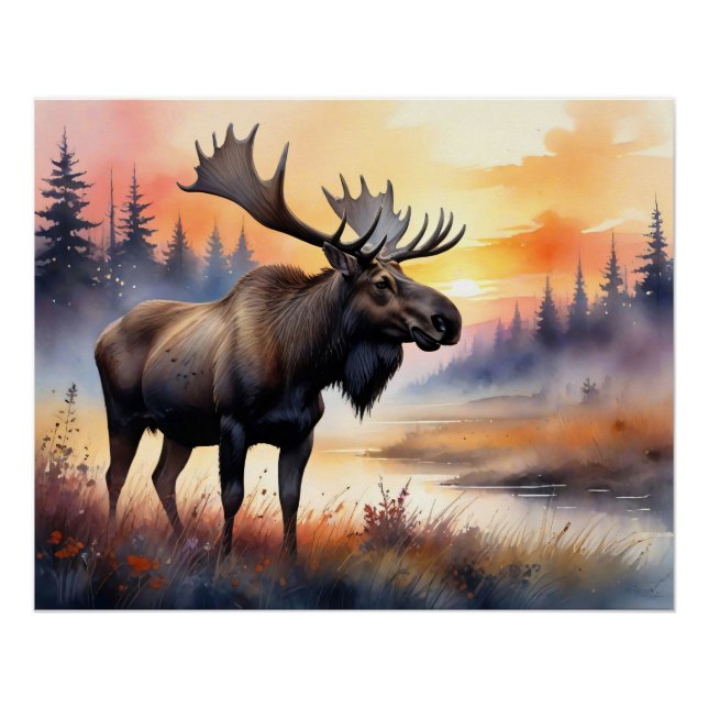 Póster Moose acuático al amanecer (Anverso)