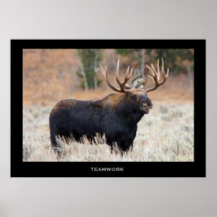 Póster Moose and Squirrel "TEAMWORK" Poster motivacional