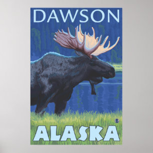 Póster Moose at Night - Dawson, Alaska