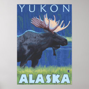 Póster Moose at Night - Yukon, Alaska