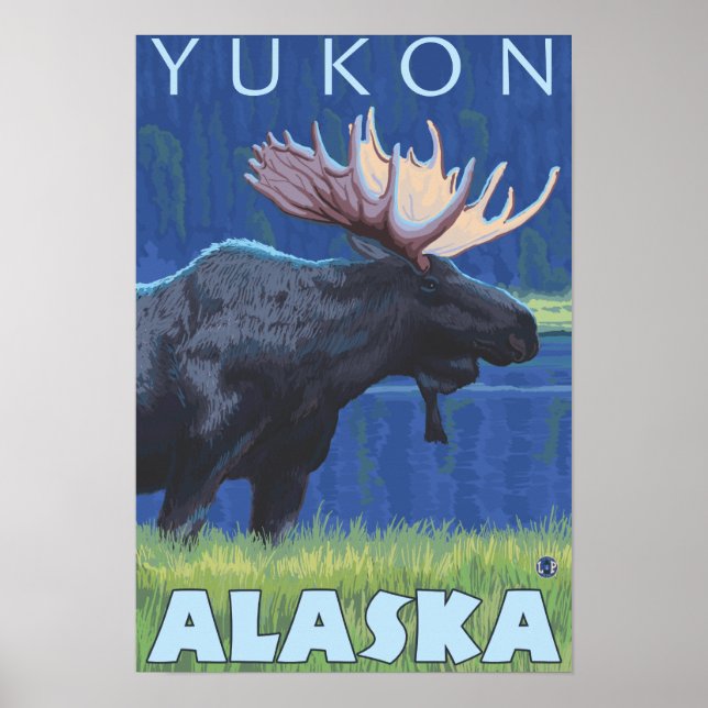 Póster Moose at Night - Yukon, Alaska (Frente)