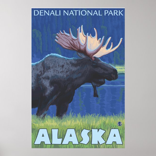 Póster Moose de noche - Parque Denali Nat'l, Alaska (Frente)