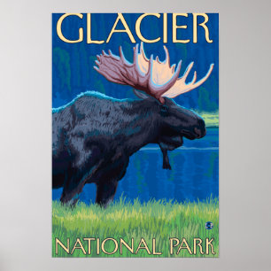 Póster Moose de noche - Parque Nacional Glacier, MT