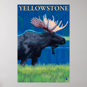 Póster Moose de noche - Parque nacional Yellowstone