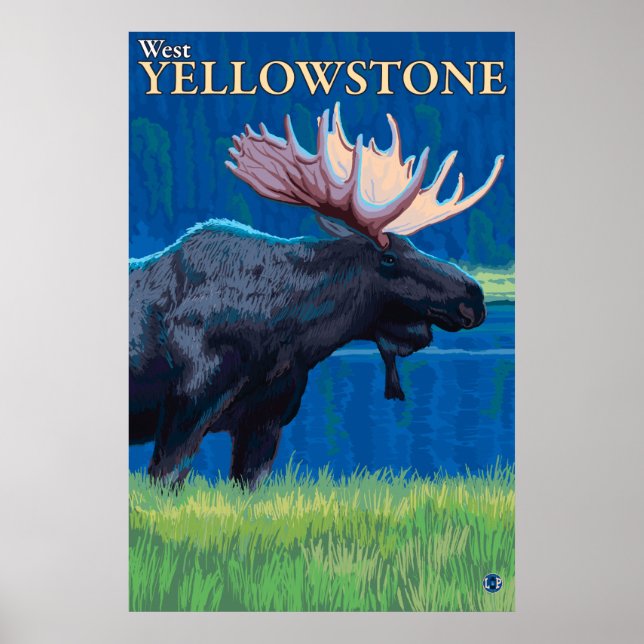 Póster Moose de noche - West Yellowstone, Montana (Frente)