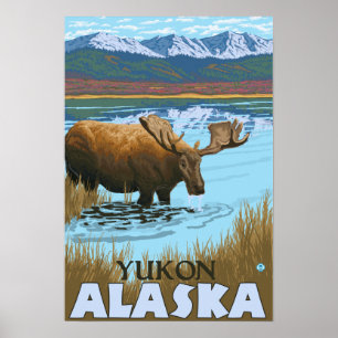 Póster Moose Drinking at Lake - Yukon, Alaska