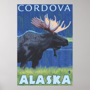 Póster Moose en la noche - Córdova, Alaska