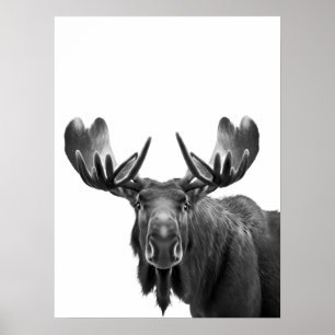 Póster Moose Modern Portrait blanco negro