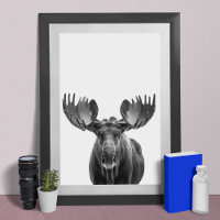 Moose Modern Portrait blanco negro