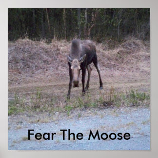 Póster Moose Poster
