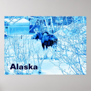 Póster Moose urbano