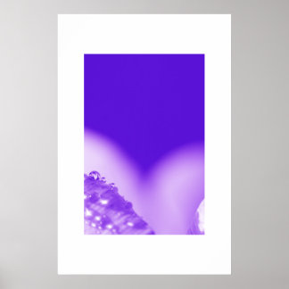Póster Morado húmedo