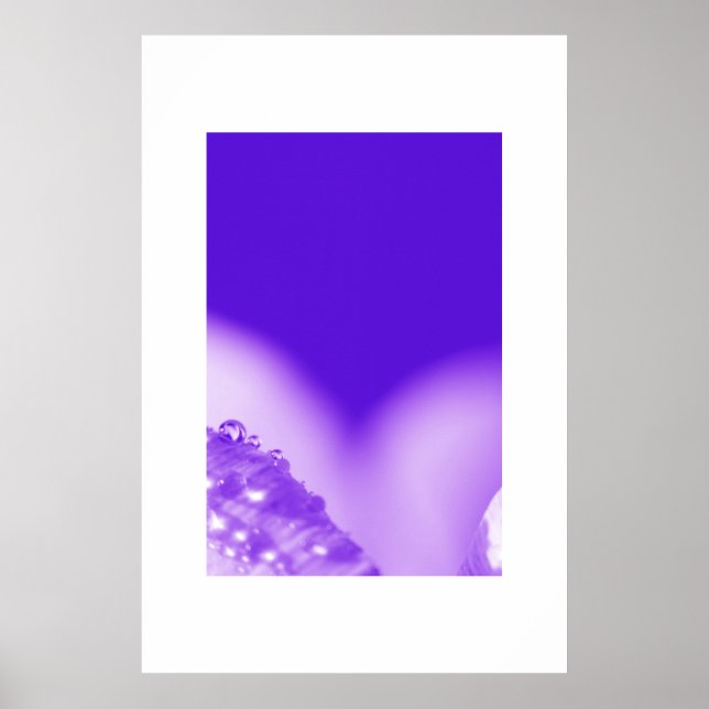 Póster Morado húmedo (Frente)
