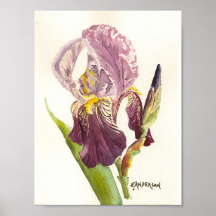 Póster Morado Iris acuarela