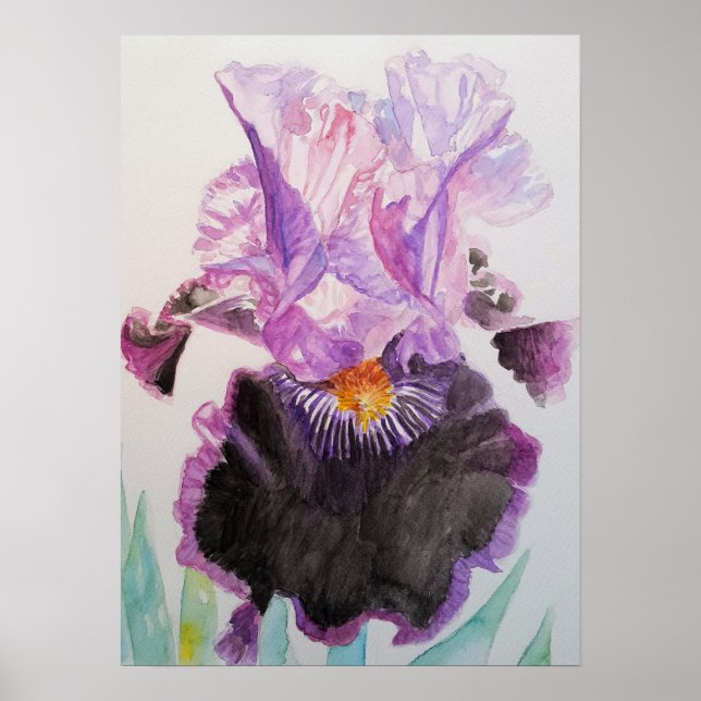 Póster Morado Iris Art Floral Flores acuarela Poster (Frente)