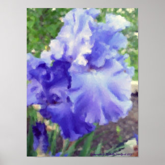 Póster Morado Iris Watercolor