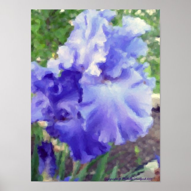 Póster Morado Iris Watercolor (Frente)