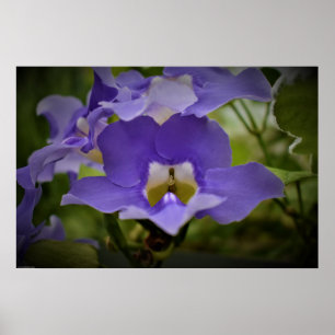 Póster Morado y verde,