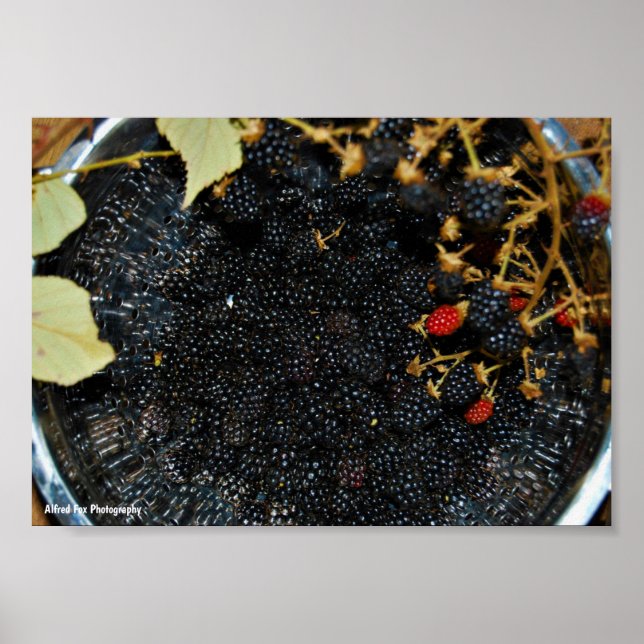 Póster Moras en Colador (Frente)