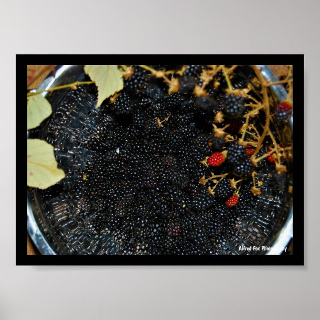 Póster Moras en Colador (Frente)