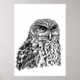 Póster Morepork
