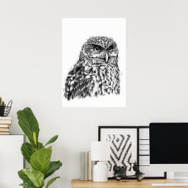 Póster Morepork