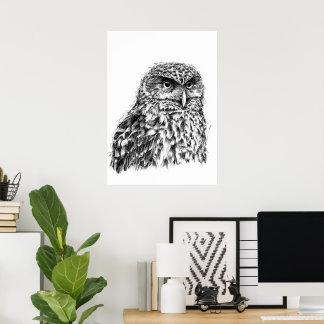 Póster Morepork