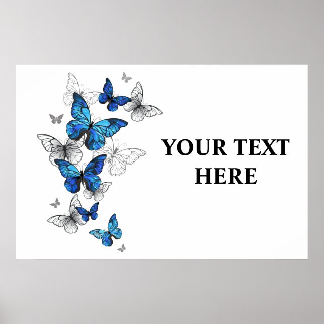 Póster Morfo de las mariposas voladoras azules (Frente)