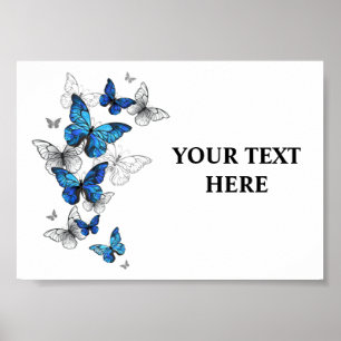 Póster Morfo de las mariposas voladoras azules