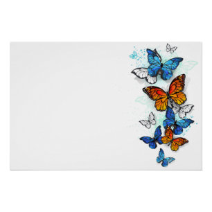 Póster Morfo y monarca de las mariposas voladoras