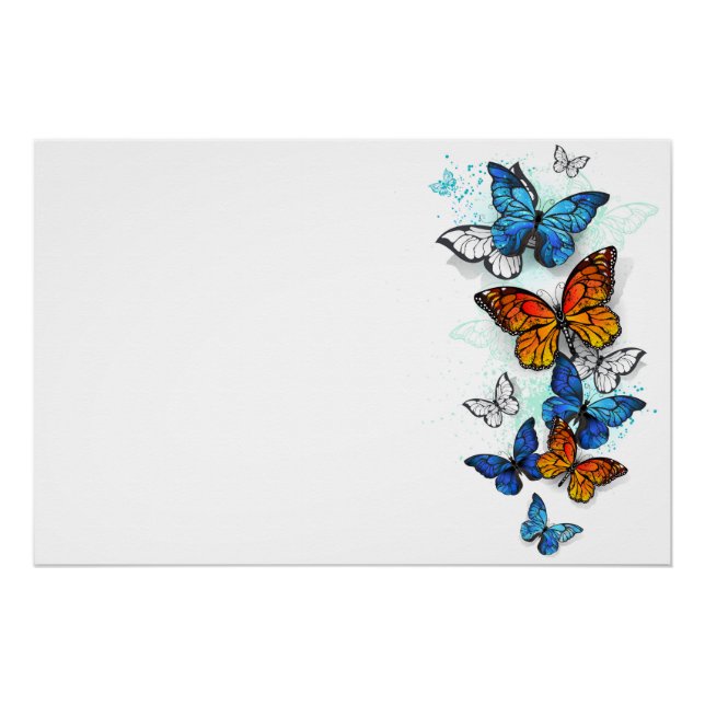 Póster Morfo y monarca de las mariposas voladoras (Anverso)