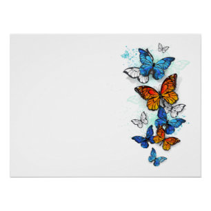 Póster Morfo y monarca de las mariposas voladoras