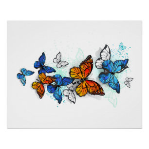 Póster Morfo y monarca de las mariposas voladoras