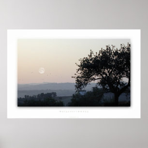 Póster Morgenstimmung