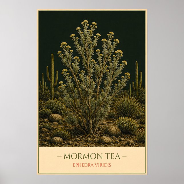 Póster Mormon Tea (Frente)