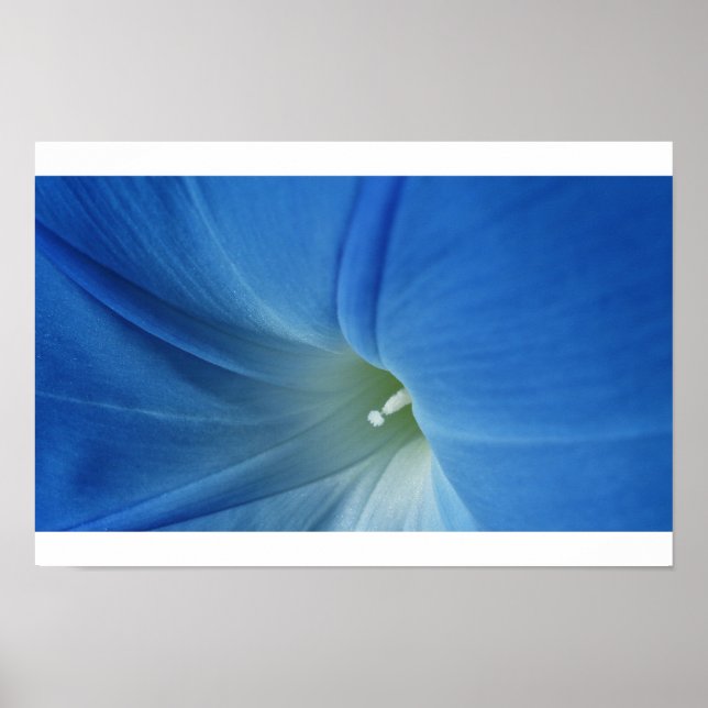 Póster Morning Bloom (Frente)