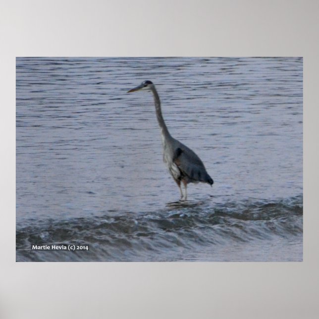 Póster Morning Crane by the Shore (Frente)