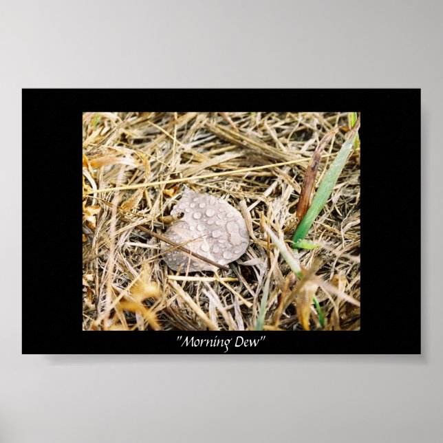 Póster Morning Dew (Frente)