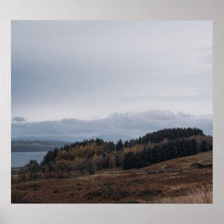 Póster Morning Haze