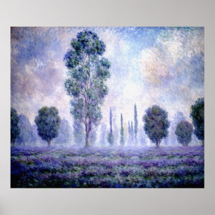 Póster Morning Haze