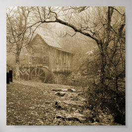 Póster Morning Mist