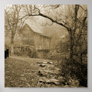 Póster Morning Mist