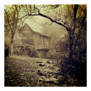 Póster Morning Mist