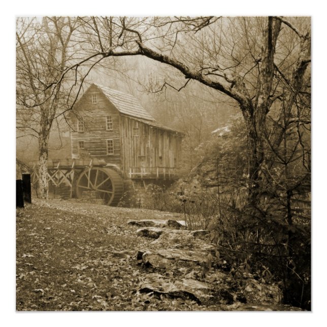 Póster Morning Mist (Anverso)