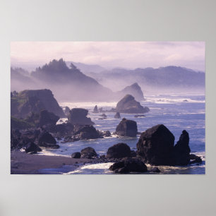 Póster Morning mist along Oregon coast near Nesika,