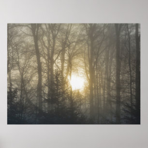Póster Morning Mood