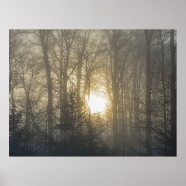 Póster Morning Mood (Frente)